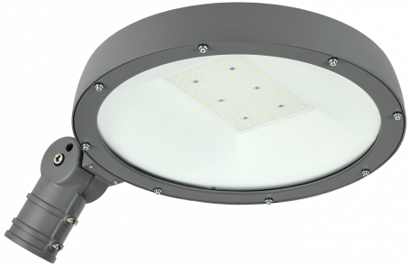 Светильник светодиодный ДКУ Парк 2001-100Д 5000К IP65 IEK – №1
